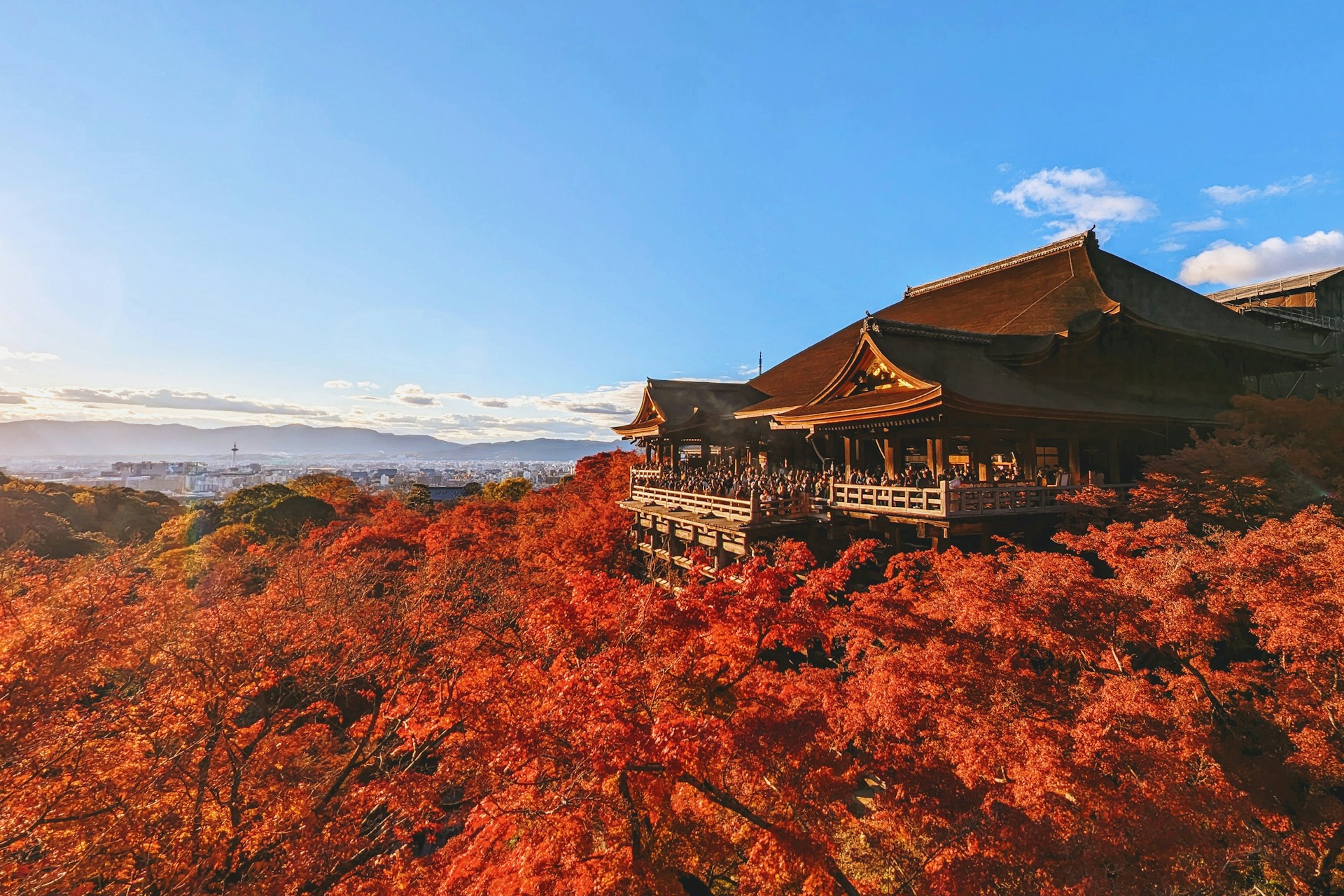 Japan in fall with autumn colors